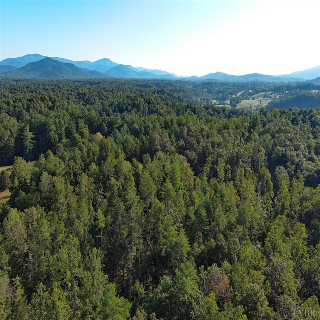 0 Dancing Creek Road Monroe, VA 24574 - Photo 7 of 13 a view of a mountain range with lush green forest