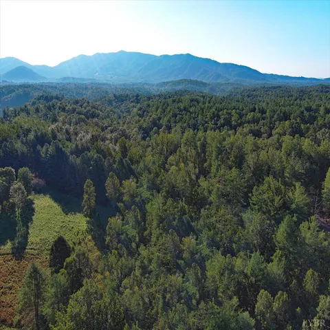 a view of a lush green forest with mountains in the background