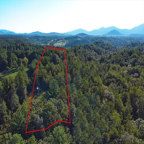 a view of a city with lush green forest