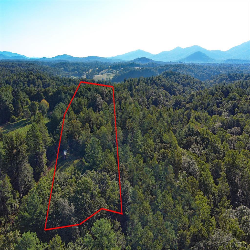 0 Dancing Creek Road Monroe, VA 24574 - Photo 9 of 13 a view of a city with lush green forest