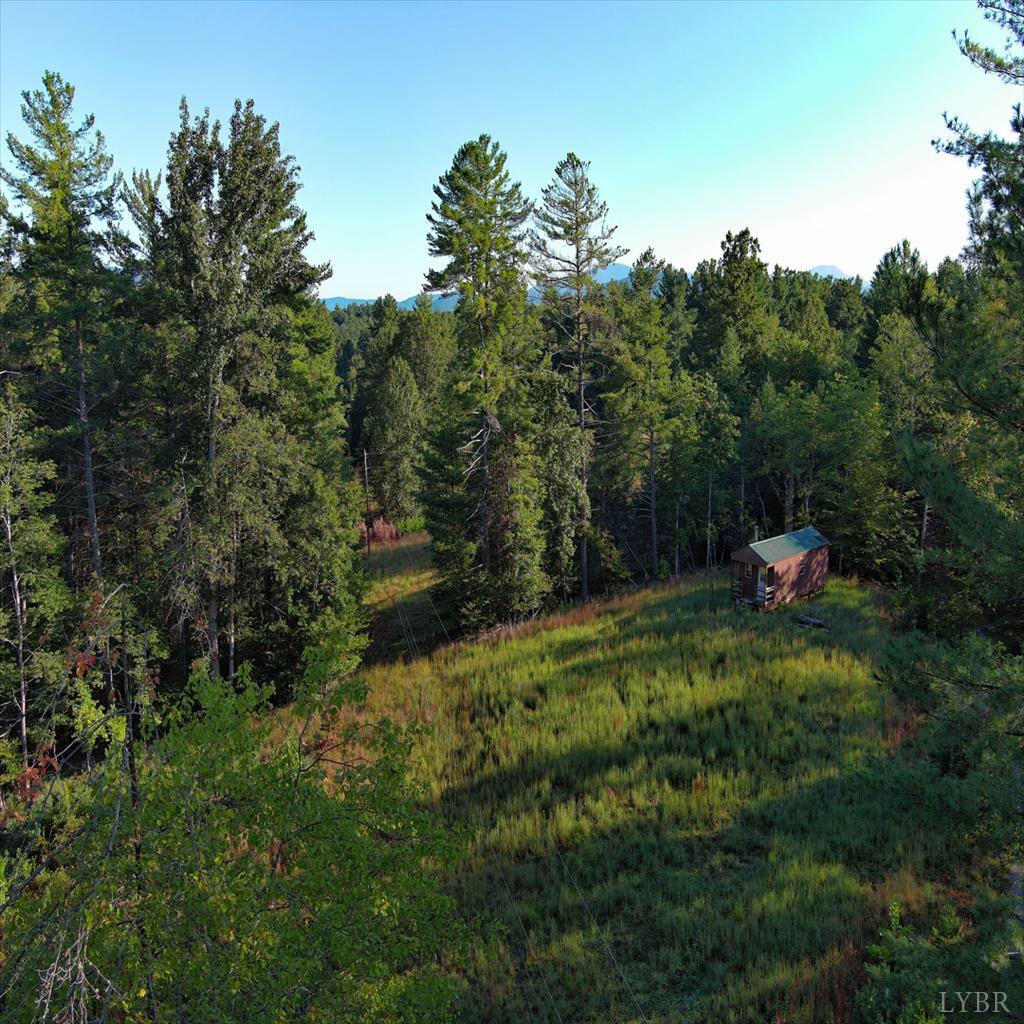 0 Dancing Creek Road Monroe, VA 24574 - Photo 10 of 13 a backyard of a house with lots of green space and trees all around