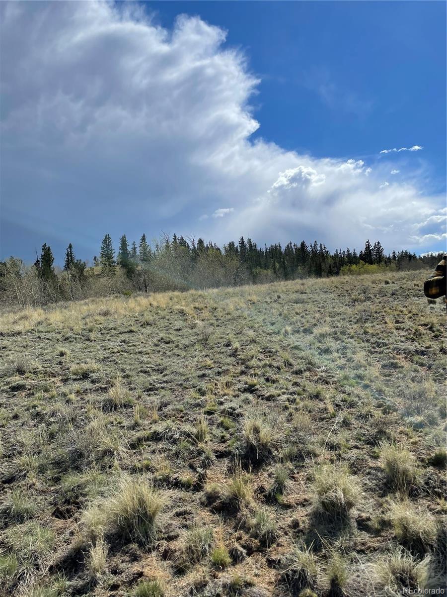 252 Albino Road Como, CO 80432 - Photo 2 of 7 a view of a lake and mountain in the back