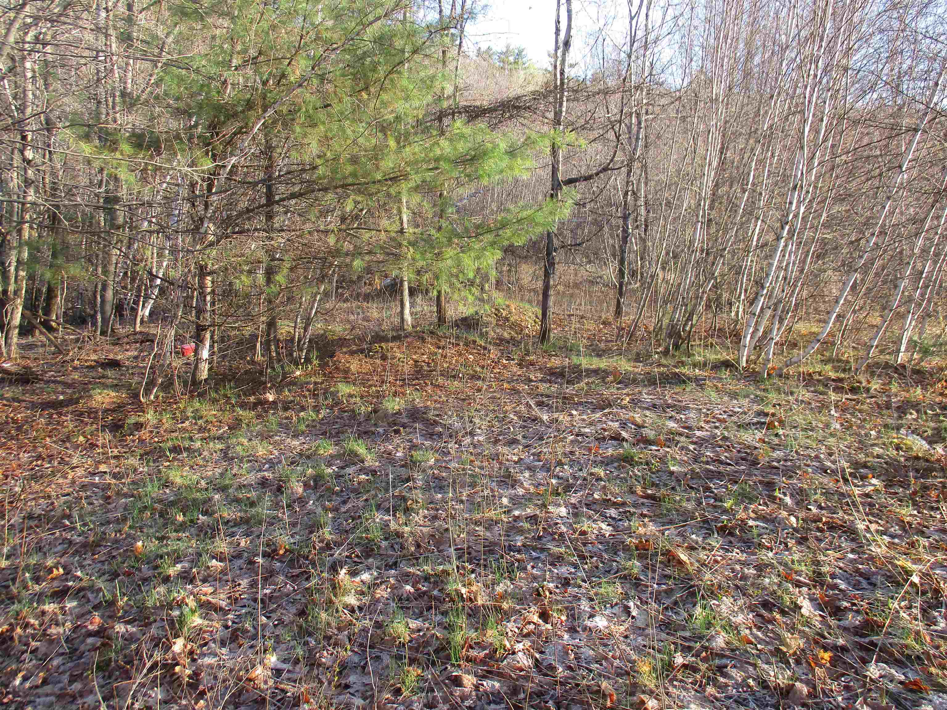 5-a-10-5 Farley Ball Road Temple, NH 03084 - Photo 8 of 9 Gallery Image 8