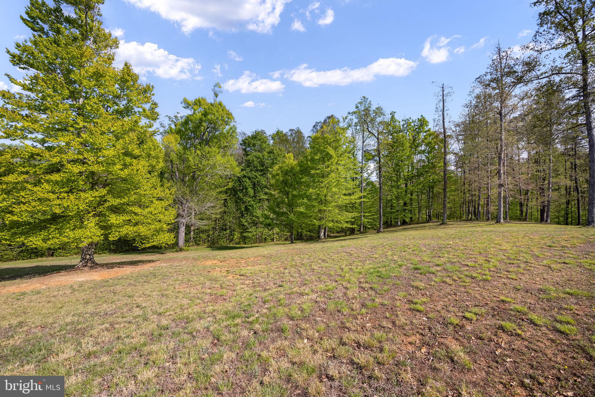 6657 Lawyers Road Spotsylvania, VA 22551 - Photo 59 of 73 a view of a yard with a house