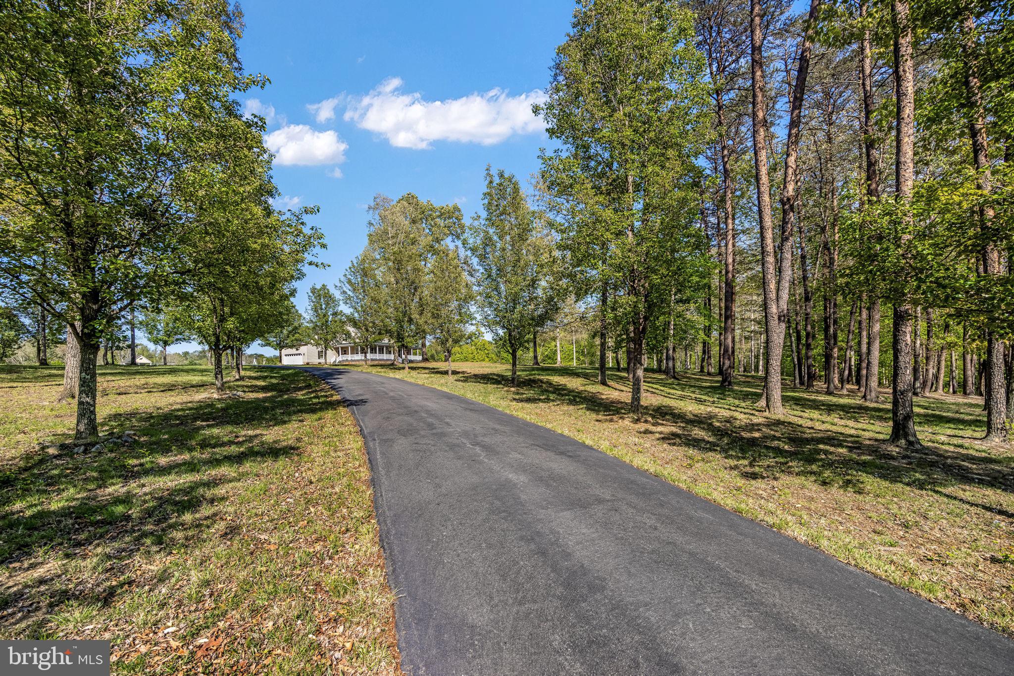 6657 Lawyers Road Spotsylvania, VA 22551 - Photo 6 of 73 a view of a park with large trees