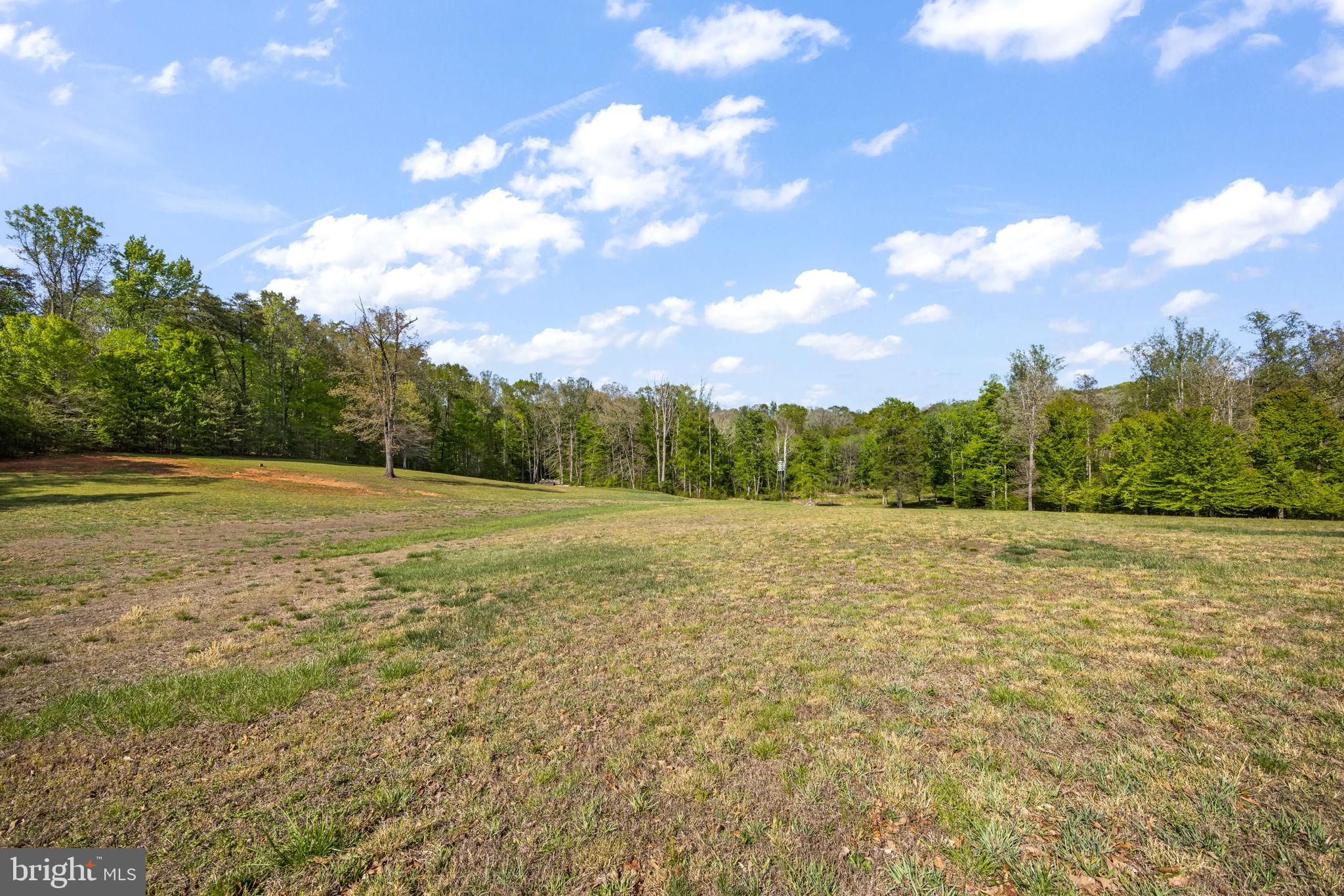 6657 Lawyers Road Spotsylvania, VA 22551 - Photo 61 of 73 a view of a big yard with lots of green space