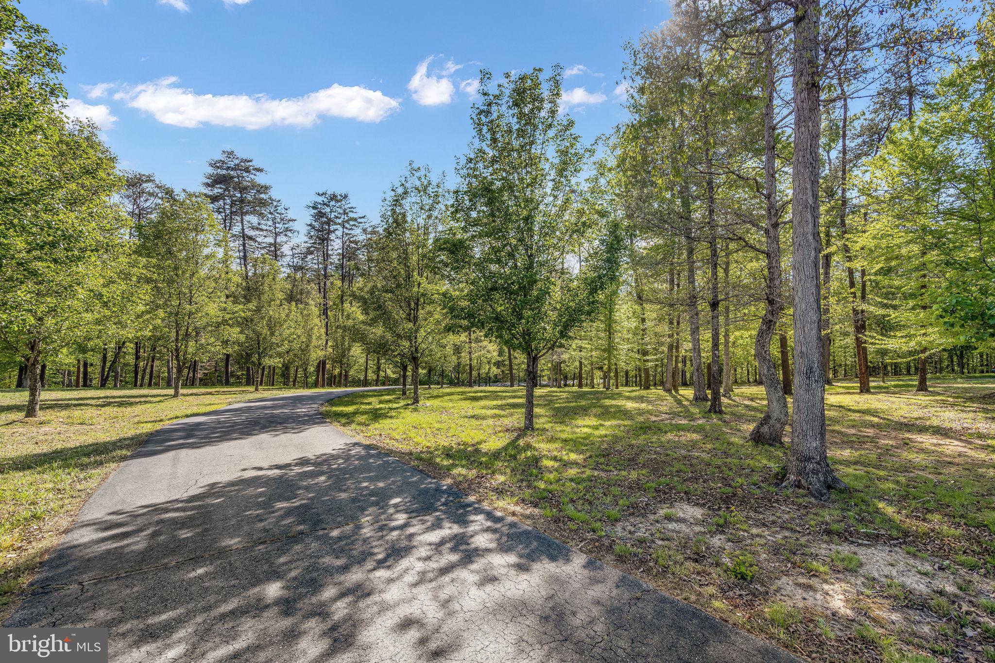 6657 Lawyers Road Spotsylvania, VA 22551 - Photo 62 of 73 a view of a yard with entertaining space