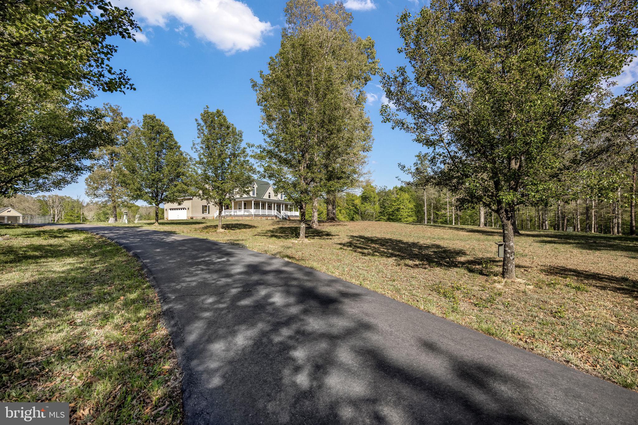 6657 Lawyers Road Spotsylvania, VA 22551 - Photo 63 of 73 a view of a yard with trees