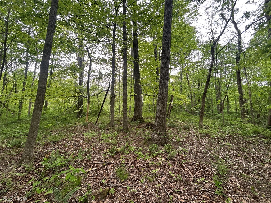 Wesley Chapel Mount Mount Perry, OH 43760 - Photo 14 of 15