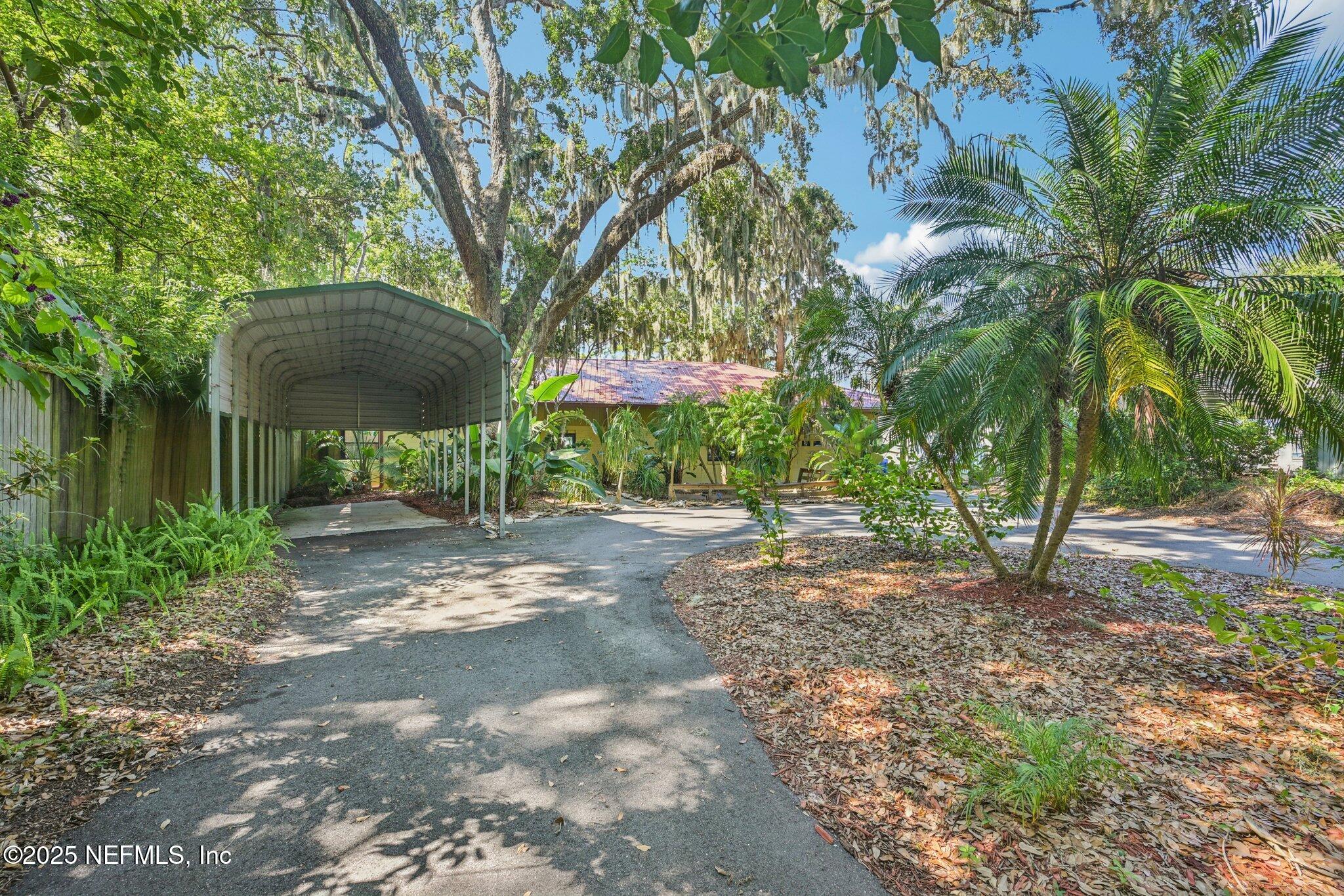 2778 Holly Point Road West Orange Park, FL 32073 - Photo 22 of 68 a backyard of a house with lots of green space
