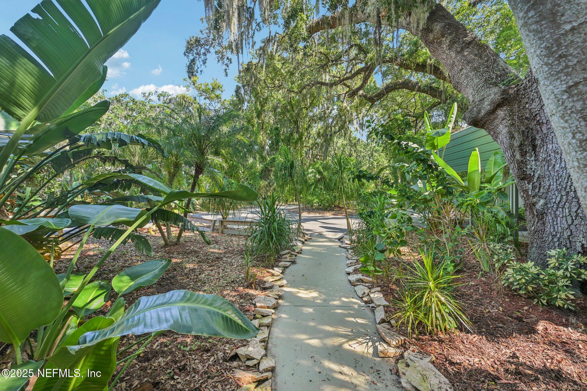 2778 Holly Point Road West Orange Park, FL 32073 - Photo 24 of 68 a close up of a plant in a garden