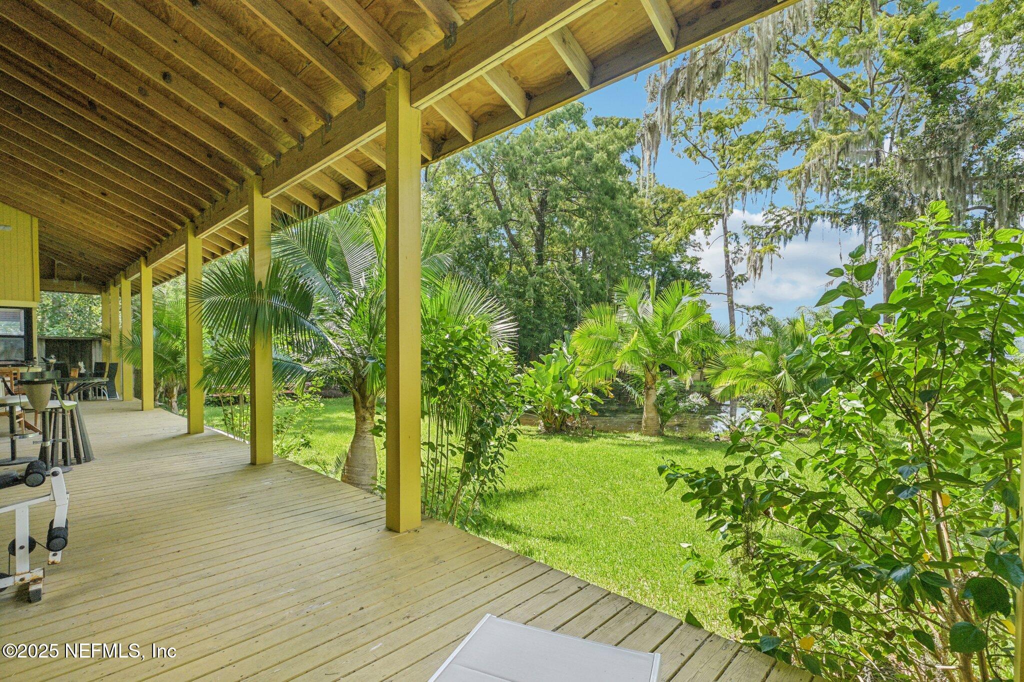 2778 Holly Point Road West Orange Park, FL 32073 - Photo 51 of 68 a view of a backyard