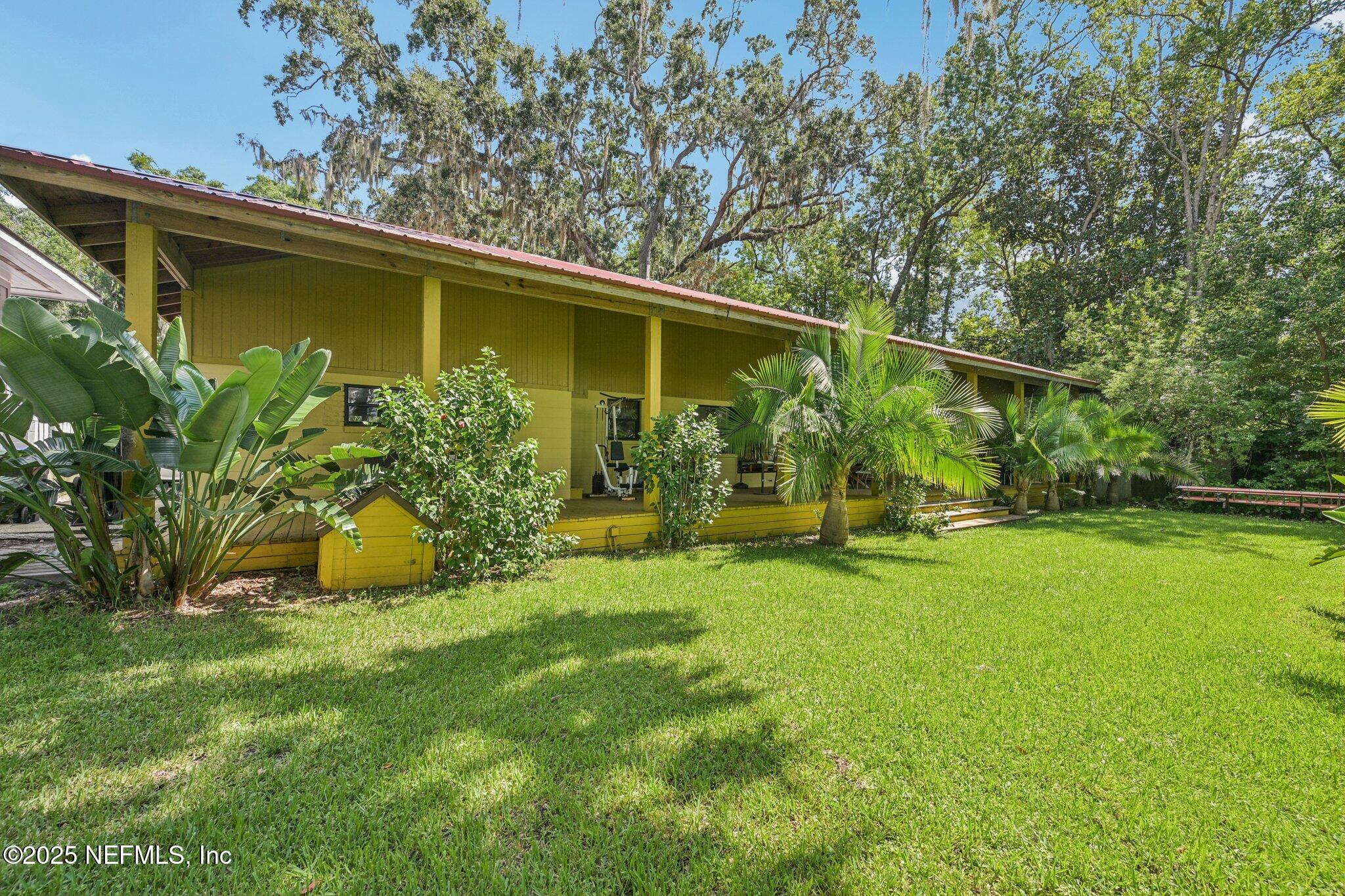 2778 Holly Point Road West Orange Park, FL 32073 - Photo 52 of 68 a view of a yard with plants and a large tree