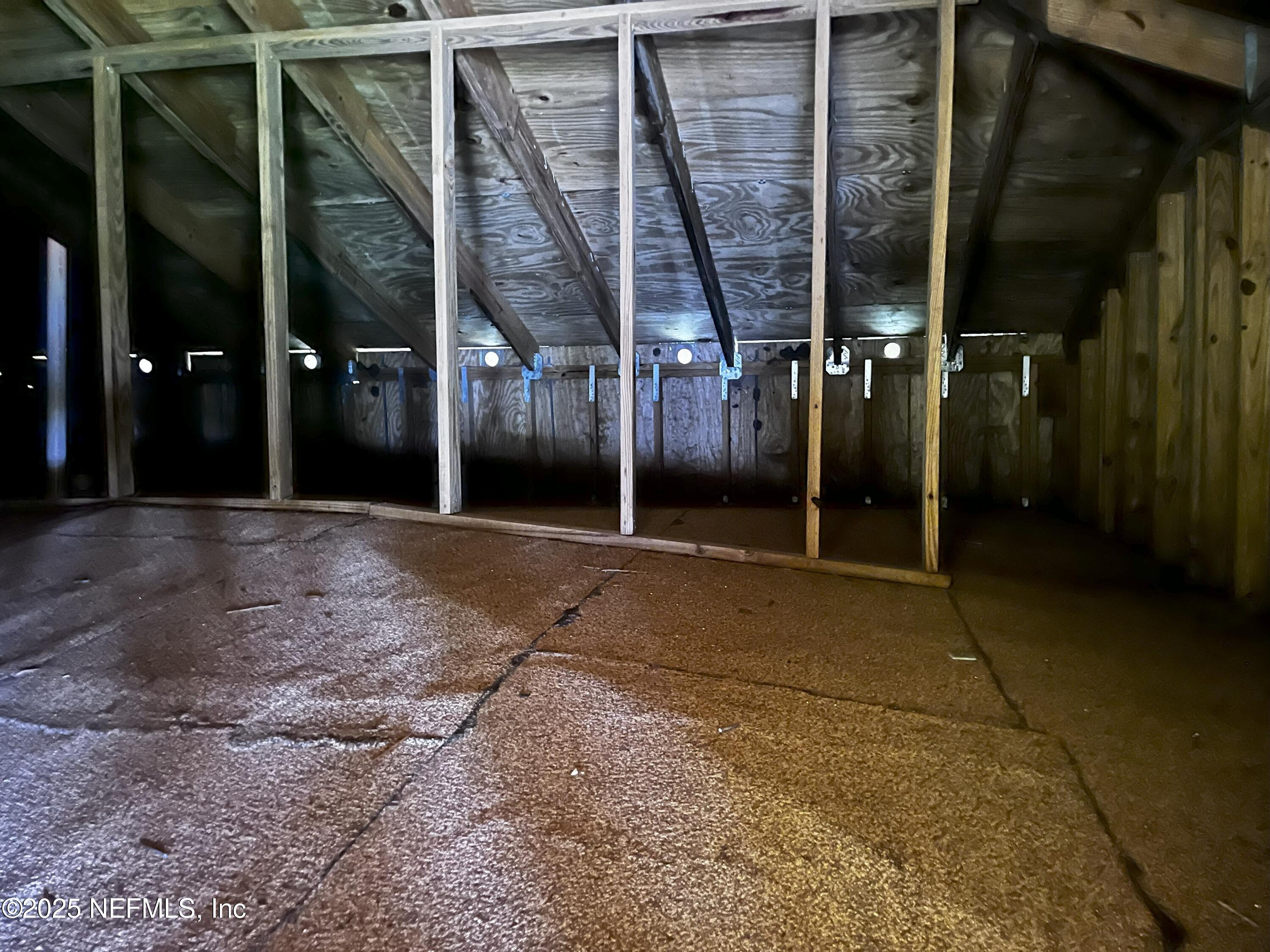 2778 Holly Point Road West Orange Park, FL 32073 - Photo 67 of 68 a view of a building with shower