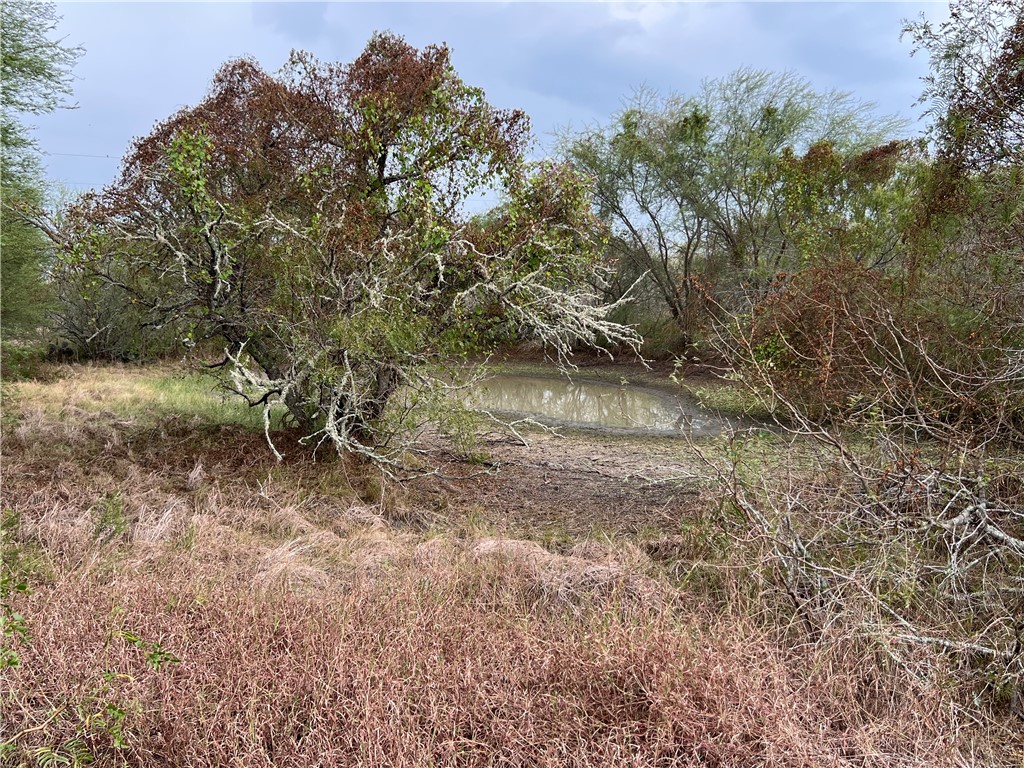 153 Boenig Road Woodsboro, TX 78393 - Photo 24 of 33 Pond