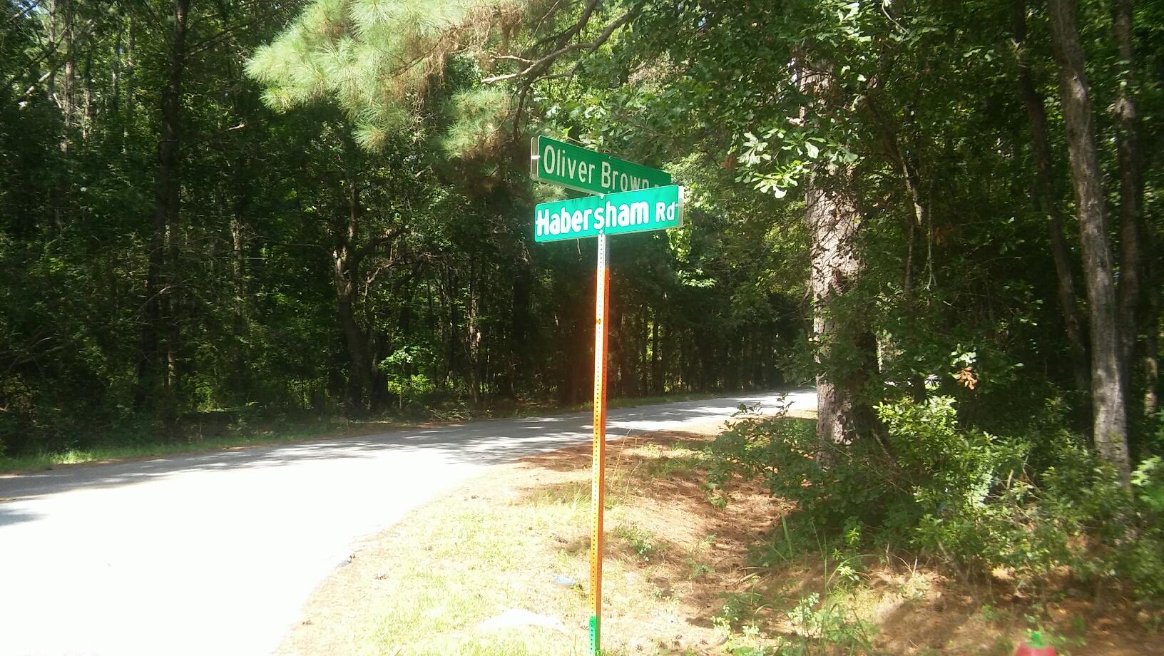 2848 Oliver Brown Road Mount Pleasant, SC 29466 - Photo 1 of 4 20160728_153537_resized