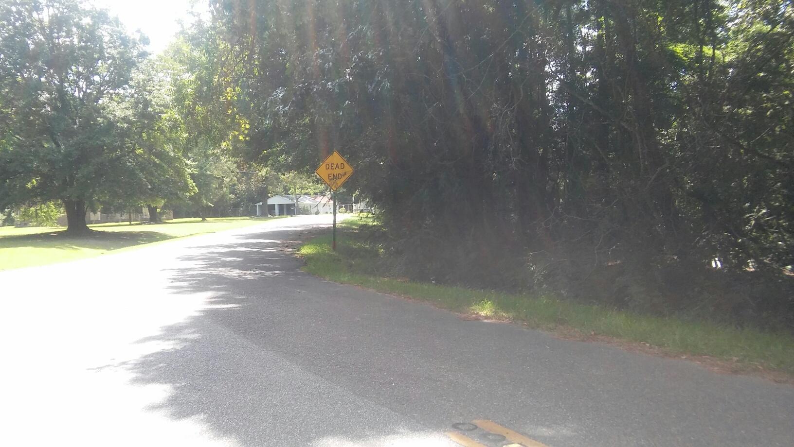 2848 Oliver Brown Road Mount Pleasant, SC 29466 - Photo 3 of 4 20160728_153359_resized