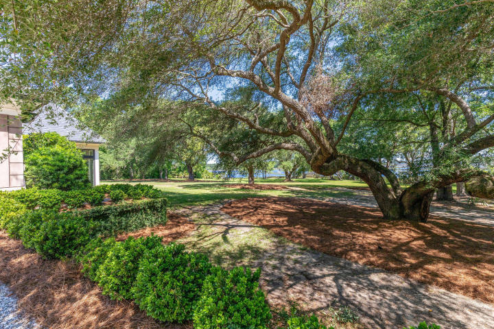 4440 Wando Farms Road Mount Pleasant, SC 29429 - Photo 73 of 88 Stunning oaks