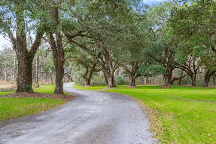 4440 Wando Farms Road Mount Pleasant, SC 29429 - Photo 80 of 88 The Avenue