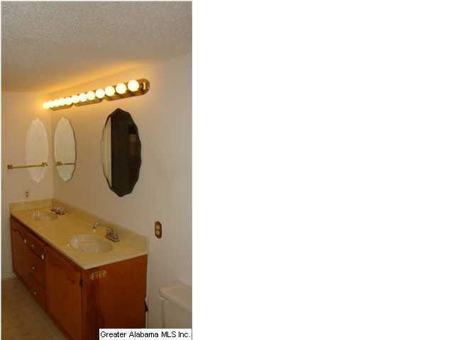 167 13th Street Southwest Alabaster, AL 35007 - Photo 17 of 24