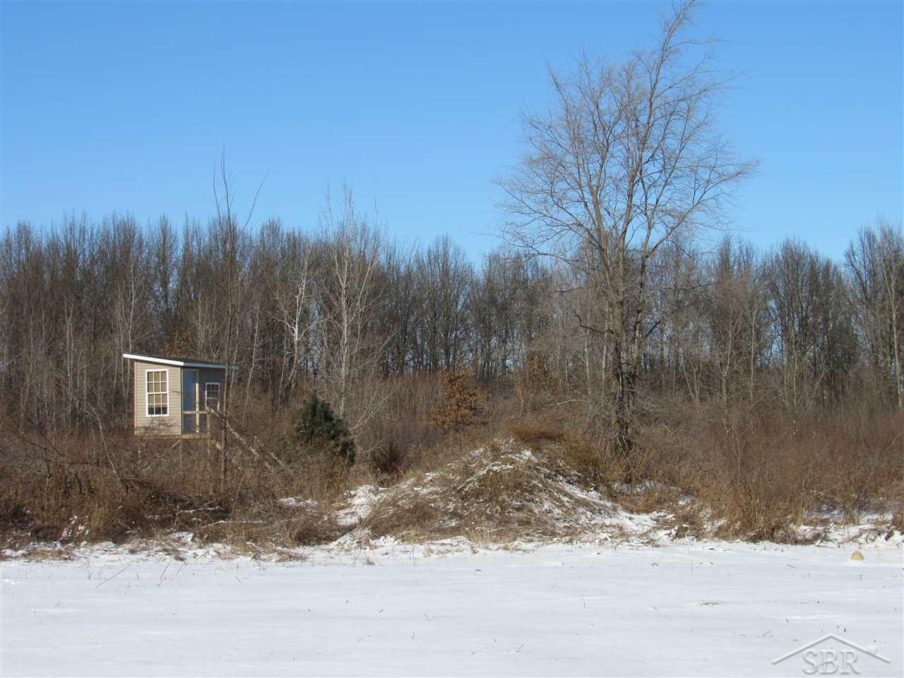 15610 Stuart Road Chesaning, MI 48616 - Photo 10 of 35