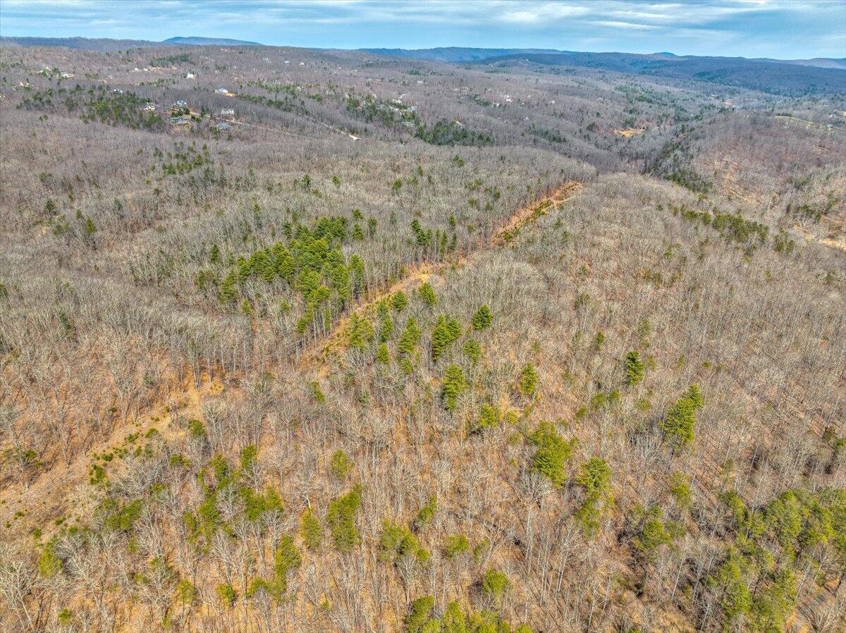 0 Toms Creek Road Blacksburg, VA 24060 - Photo 35 of 61 35-31-151-DJI_0946And4more