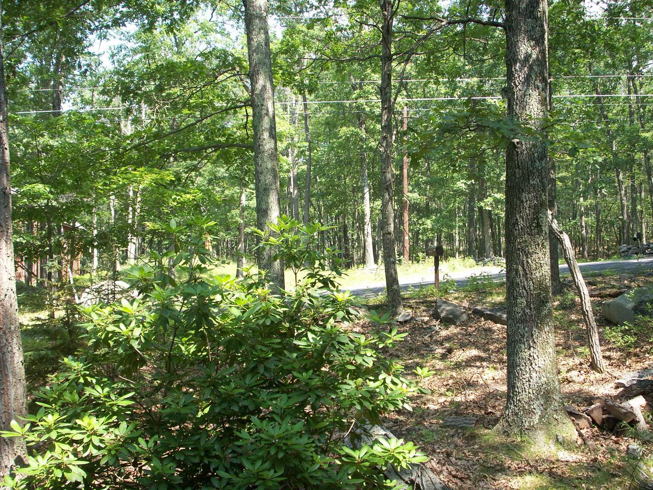 605 Valley Road Canadensis, PA 18325 - Photo 6 of 8 Adjoining Lot # 606