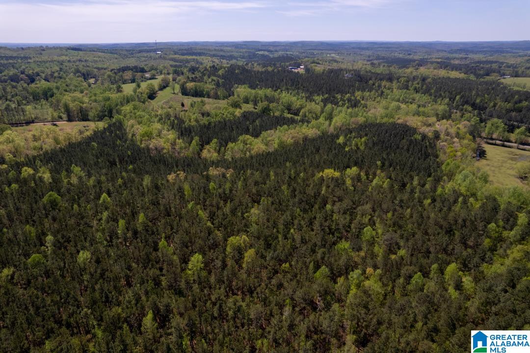 0 Highway 431, Unit 1 Wedowee, AL 36278 - Photo 2 of 10