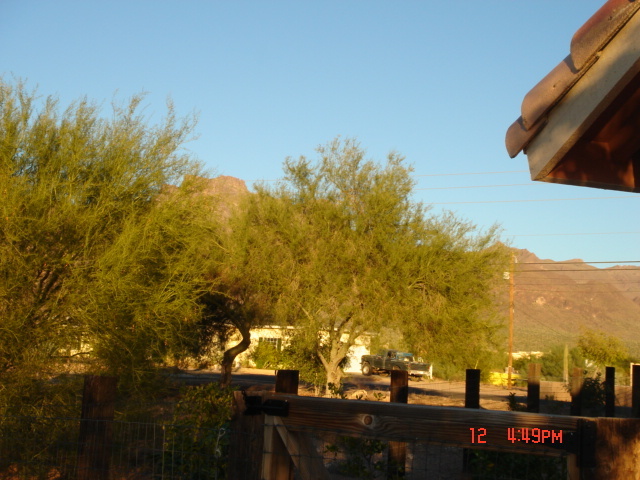 426 South Muleshoe Road Apache Junction, AZ 85119 - Photo 4 of 12 back yard view2