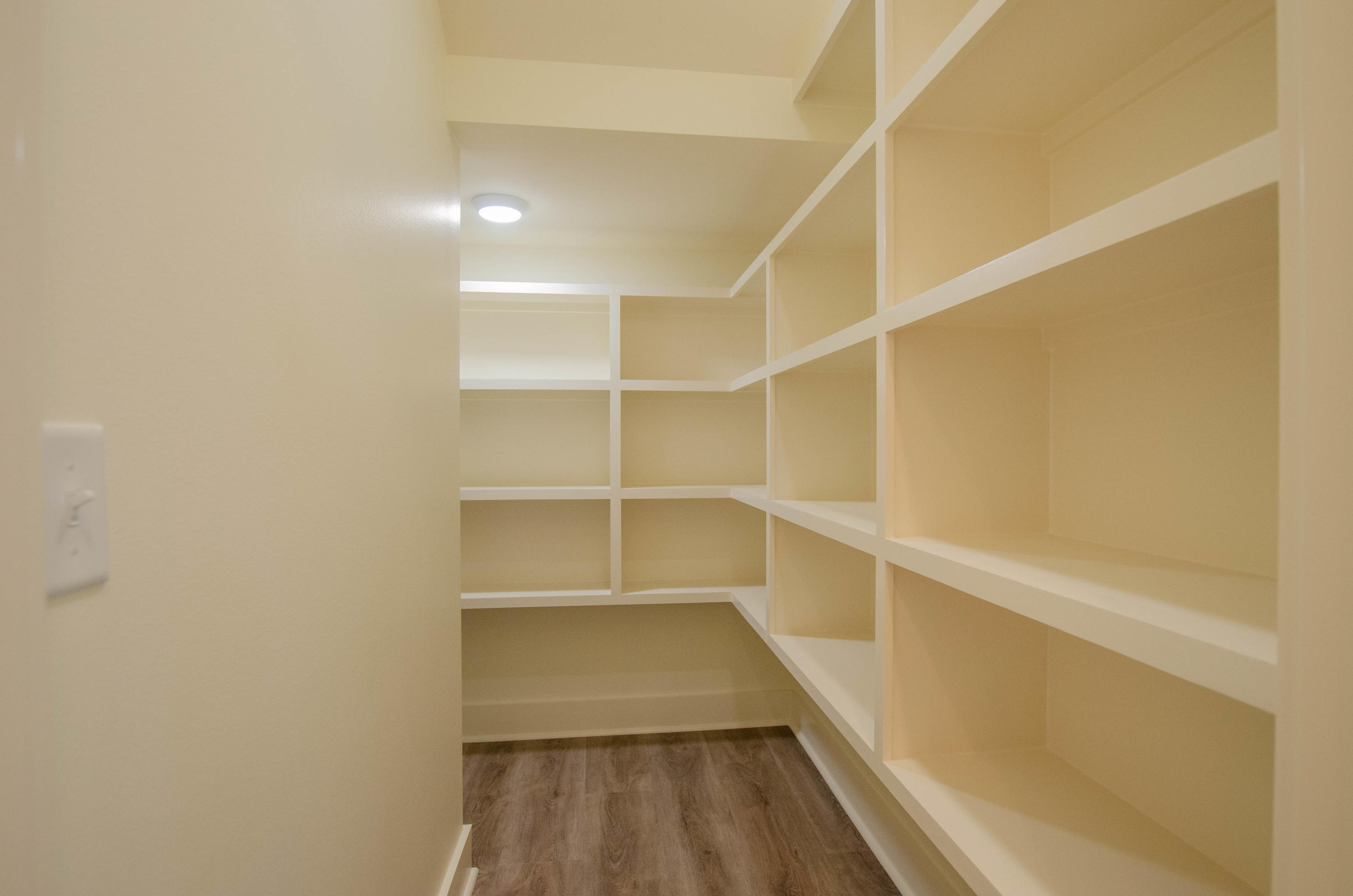 1001 Allen Loop Drive Santa Rosa Beach, FL 32459 - Photo 28 of 33 Pantry/Closet