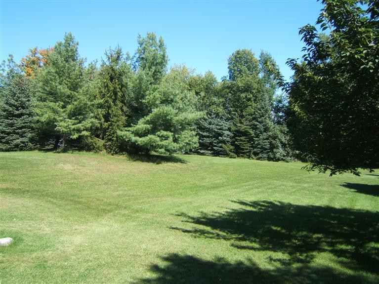 19840 Sharon Valley Road Manchester, MI 48158 - Photo 3 of 12 Photo 3