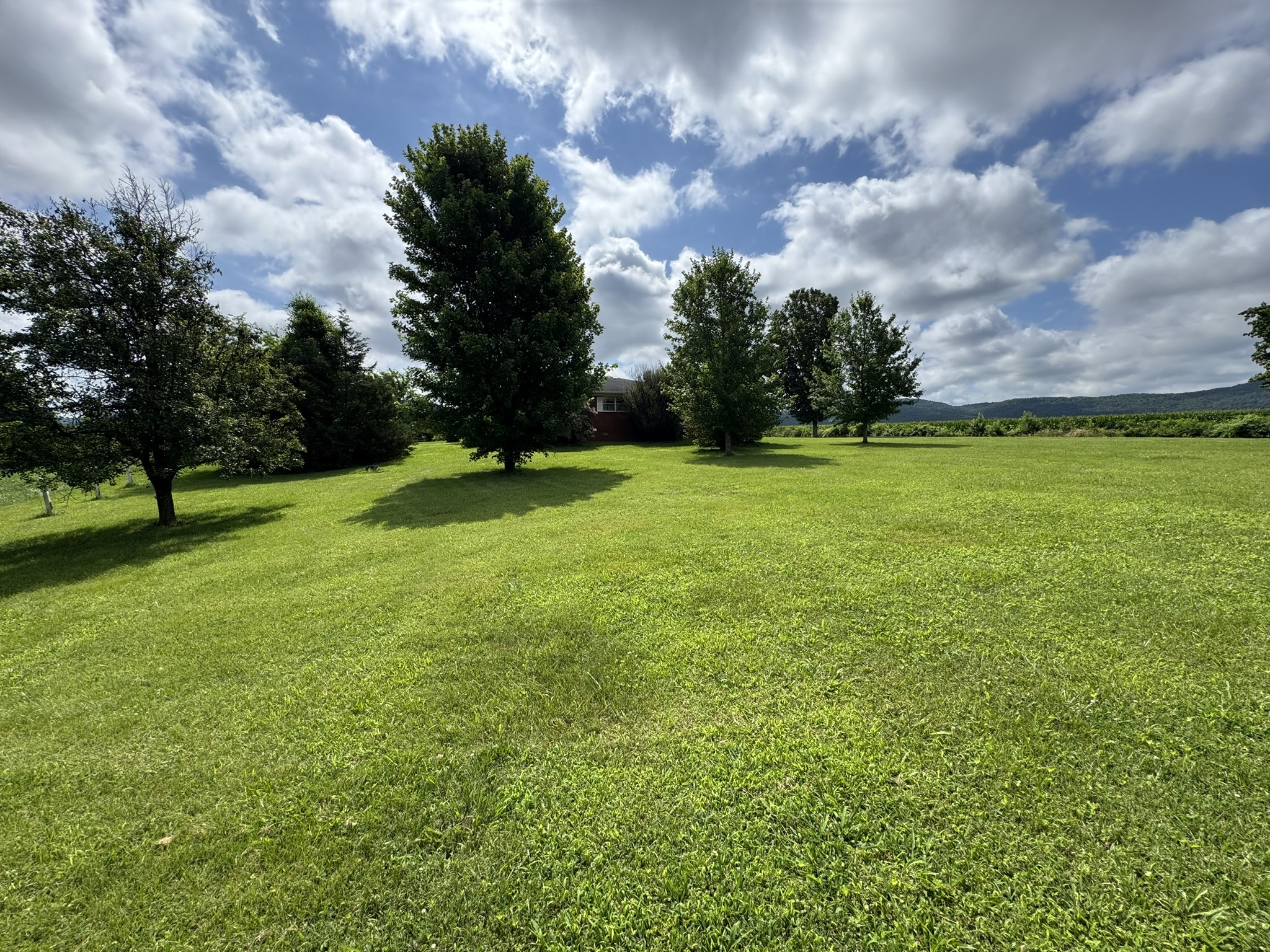 39 Sugar Cove Road Belvidere, TN 37306 - Photo 16 of 44 Gallery Image 16