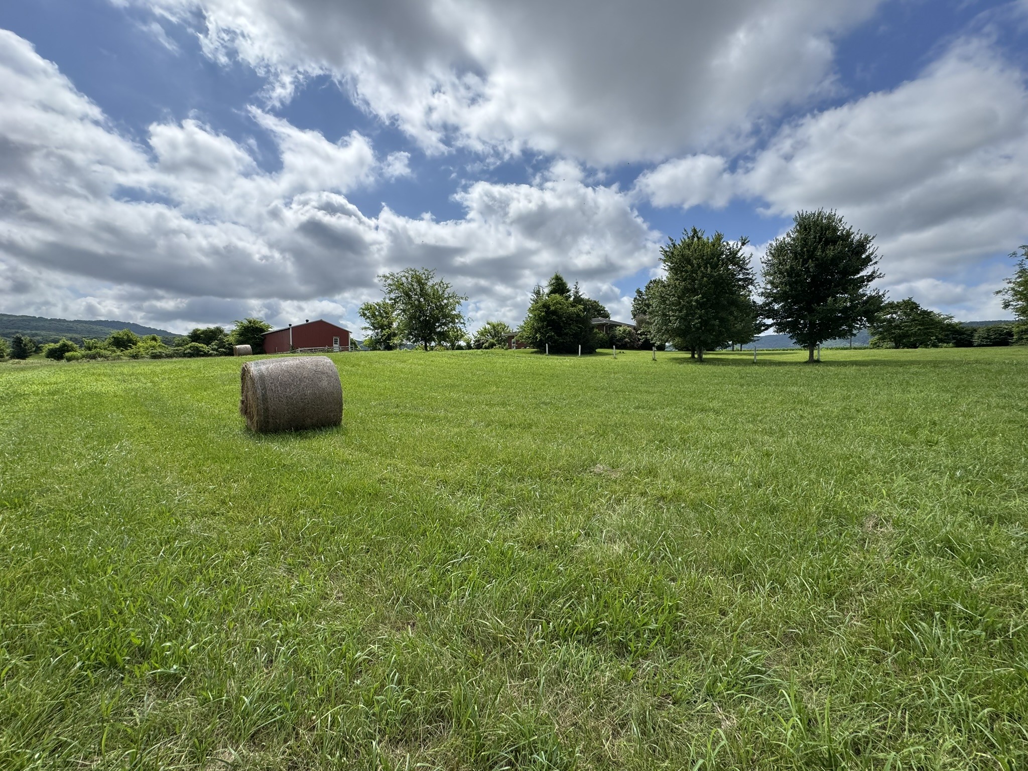 39 Sugar Cove Road Belvidere, TN 37306 - Photo 17 of 44 Gallery Image 17
