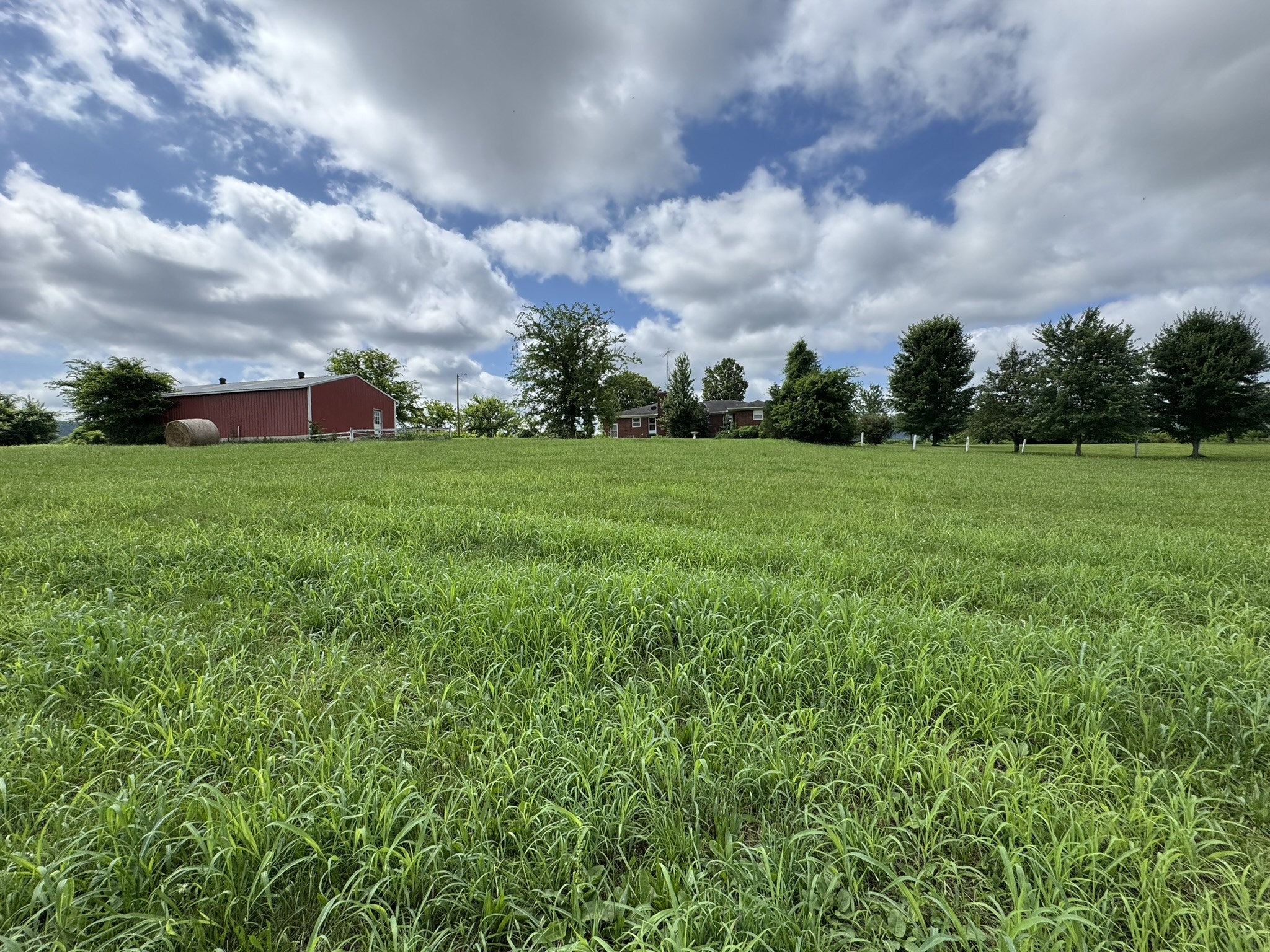 39 Sugar Cove Road Belvidere, TN 37306 - Photo 19 of 44 Gallery Image 19