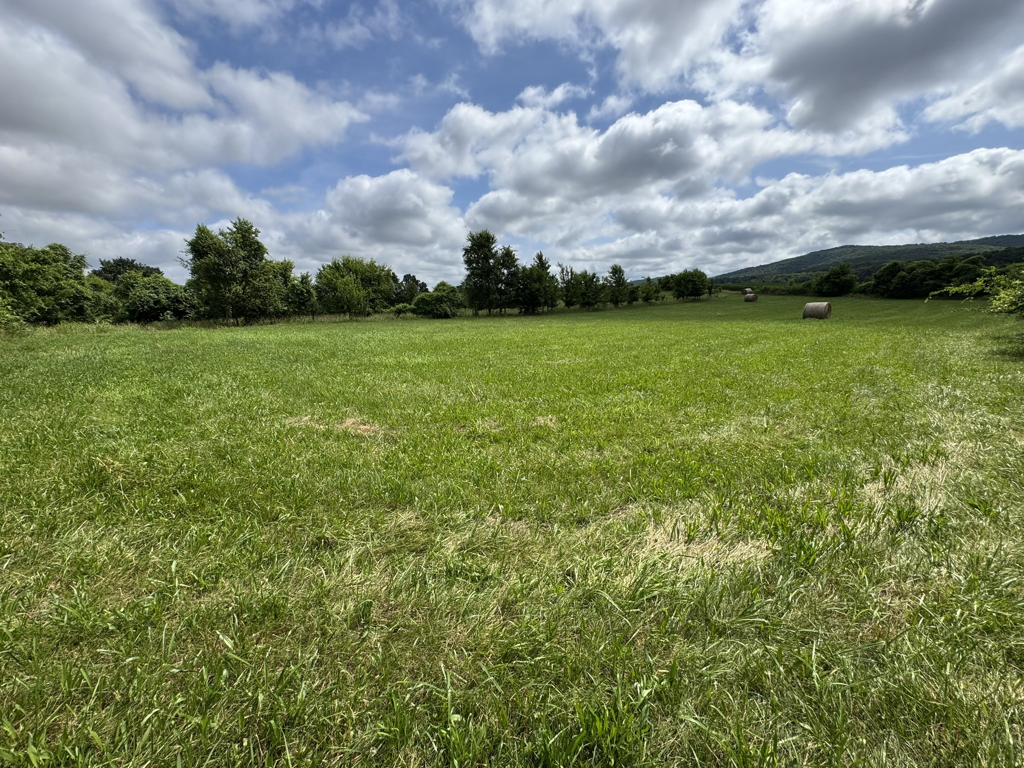 39 Sugar Cove Road Belvidere, TN 37306 - Photo 24 of 44 Gallery Image 24
