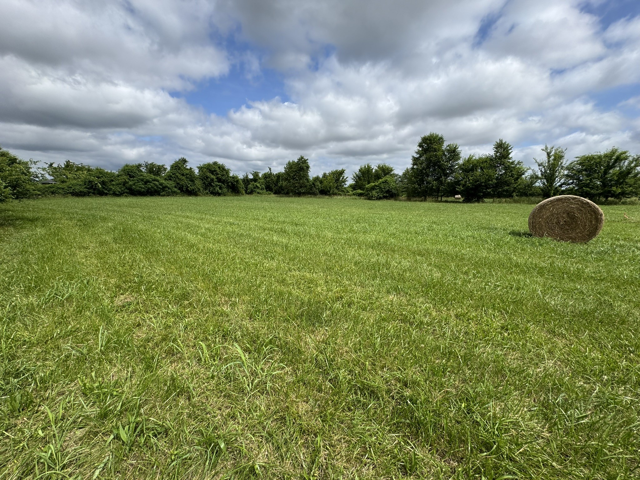 39 Sugar Cove Road Belvidere, TN 37306 - Photo 25 of 44 Gallery Image 25