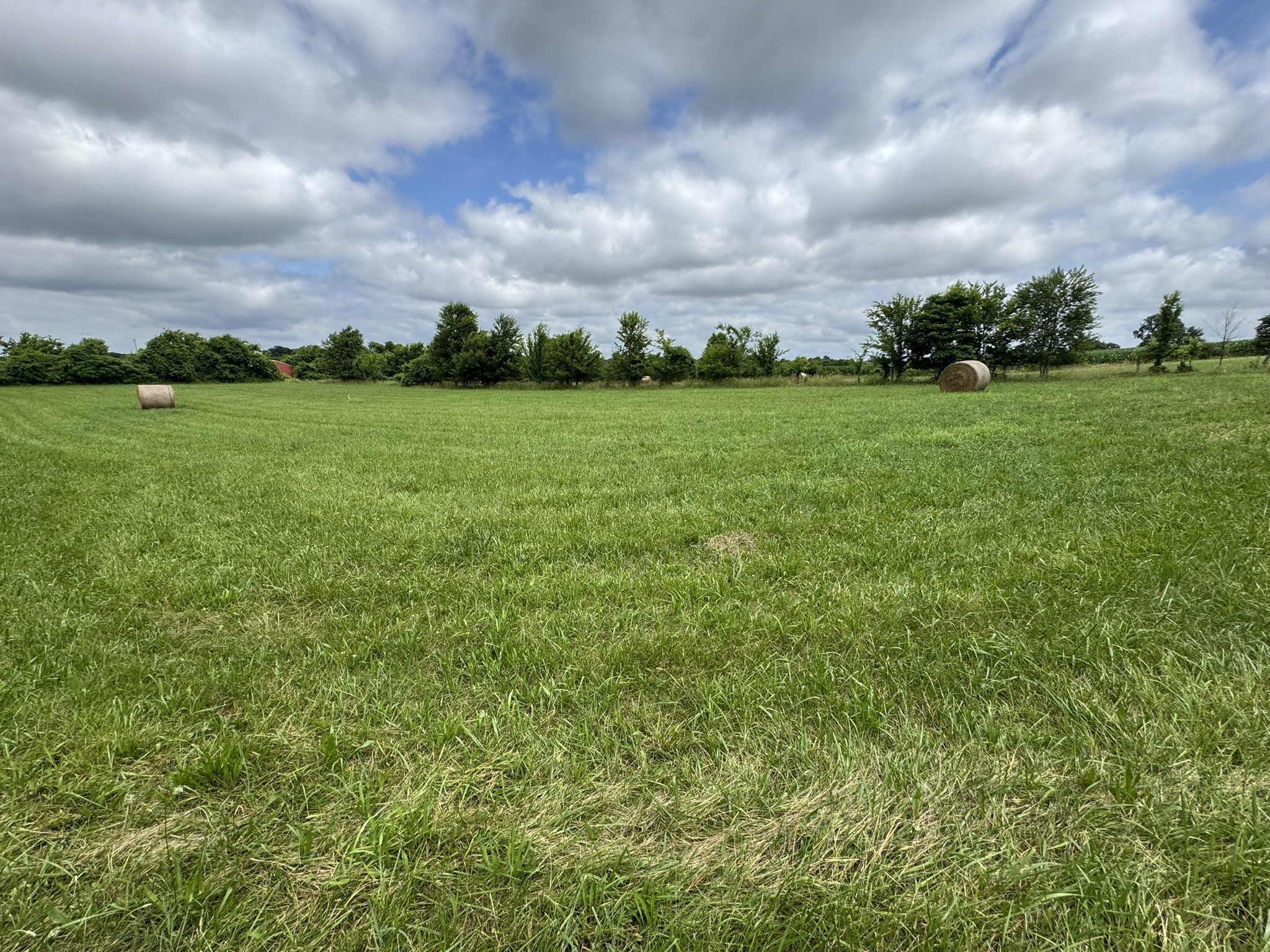 39 Sugar Cove Road Belvidere, TN 37306 - Photo 26 of 44 Gallery Image 26