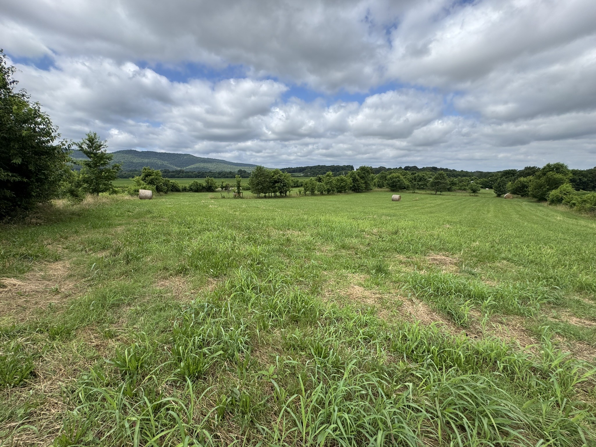 39 Sugar Cove Road Belvidere, TN 37306 - Photo 28 of 44 Gallery Image 28