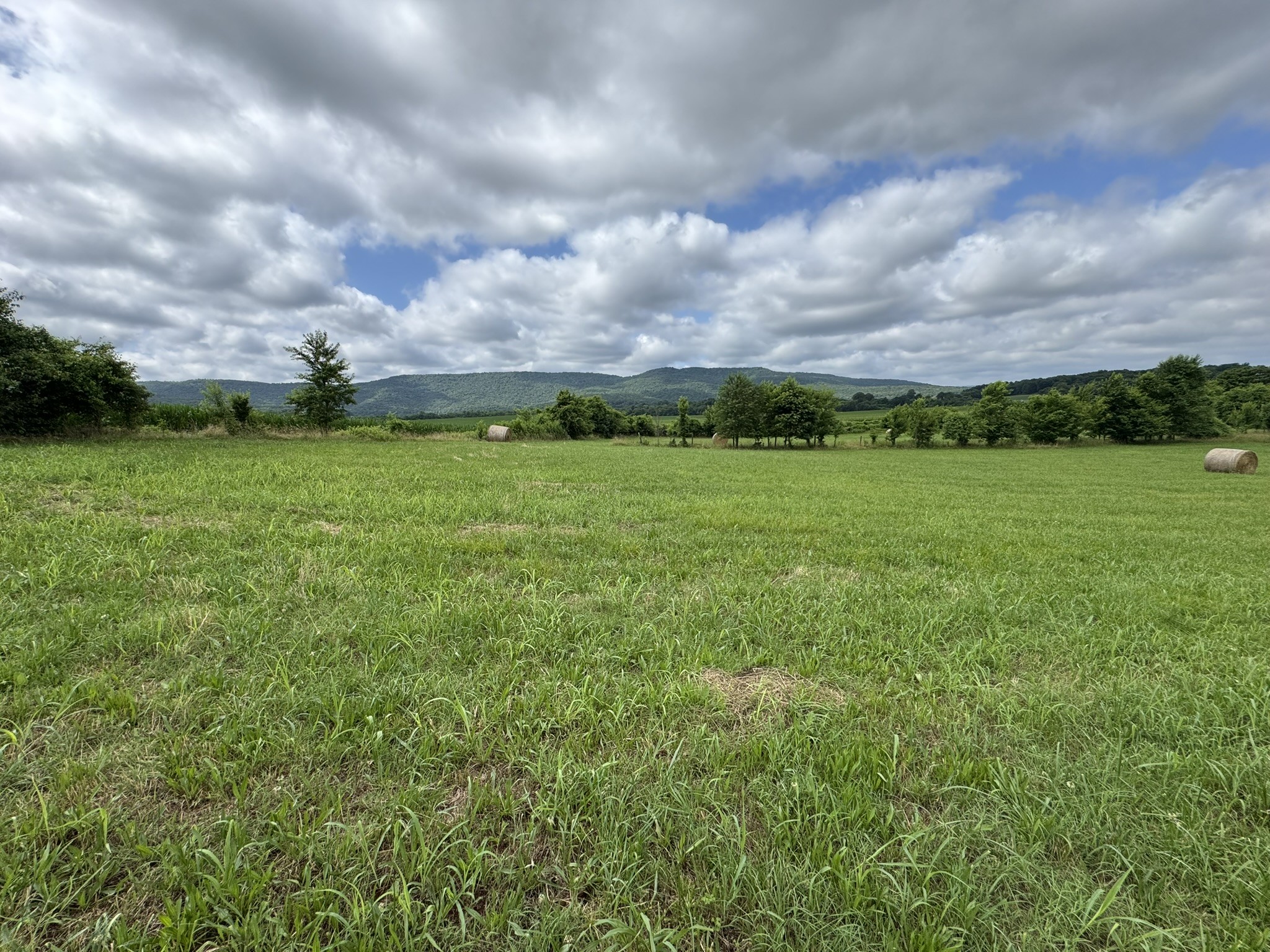 39 Sugar Cove Road Belvidere, TN 37306 - Photo 32 of 44 Gallery Image 32