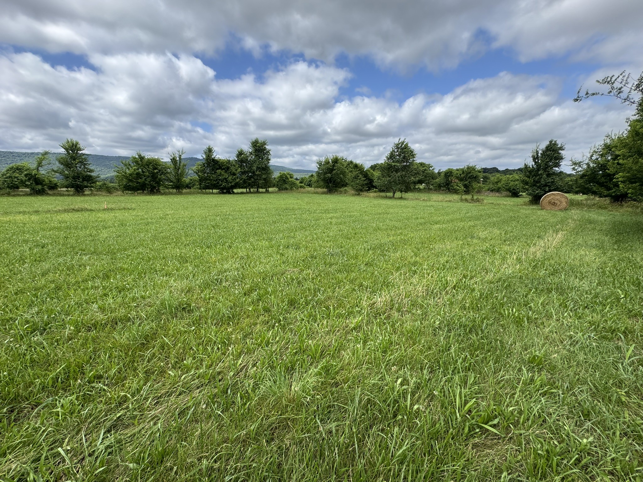 39 Sugar Cove Road Belvidere, TN 37306 - Photo 33 of 44 Gallery Image 33