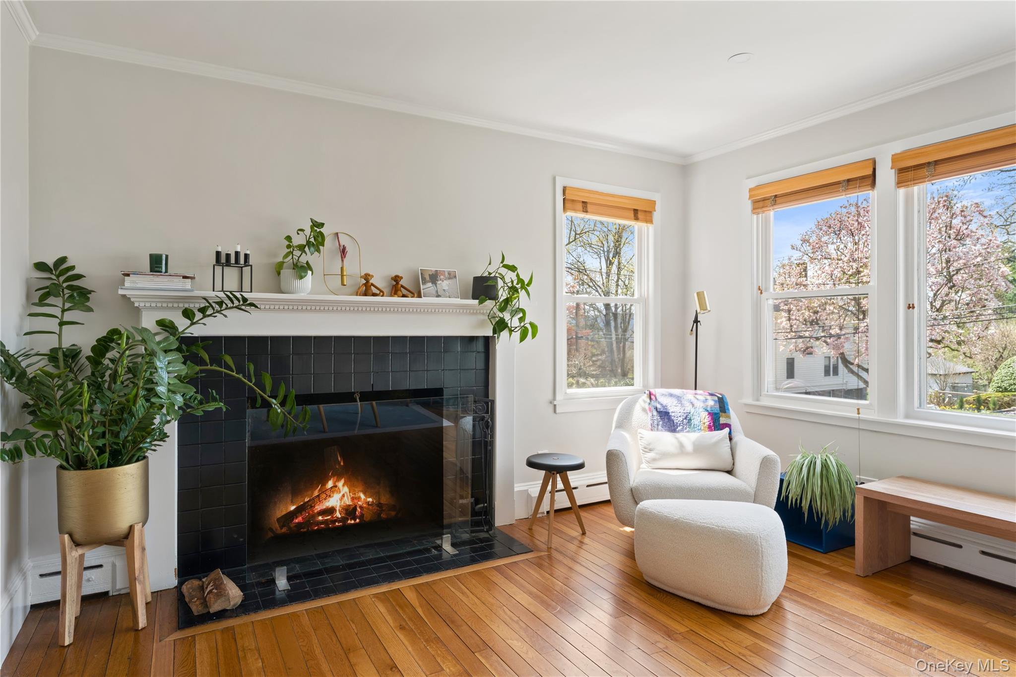 206 Palisade Avenue Dobbs Ferry, NY 10522 - Photo 7 of 23