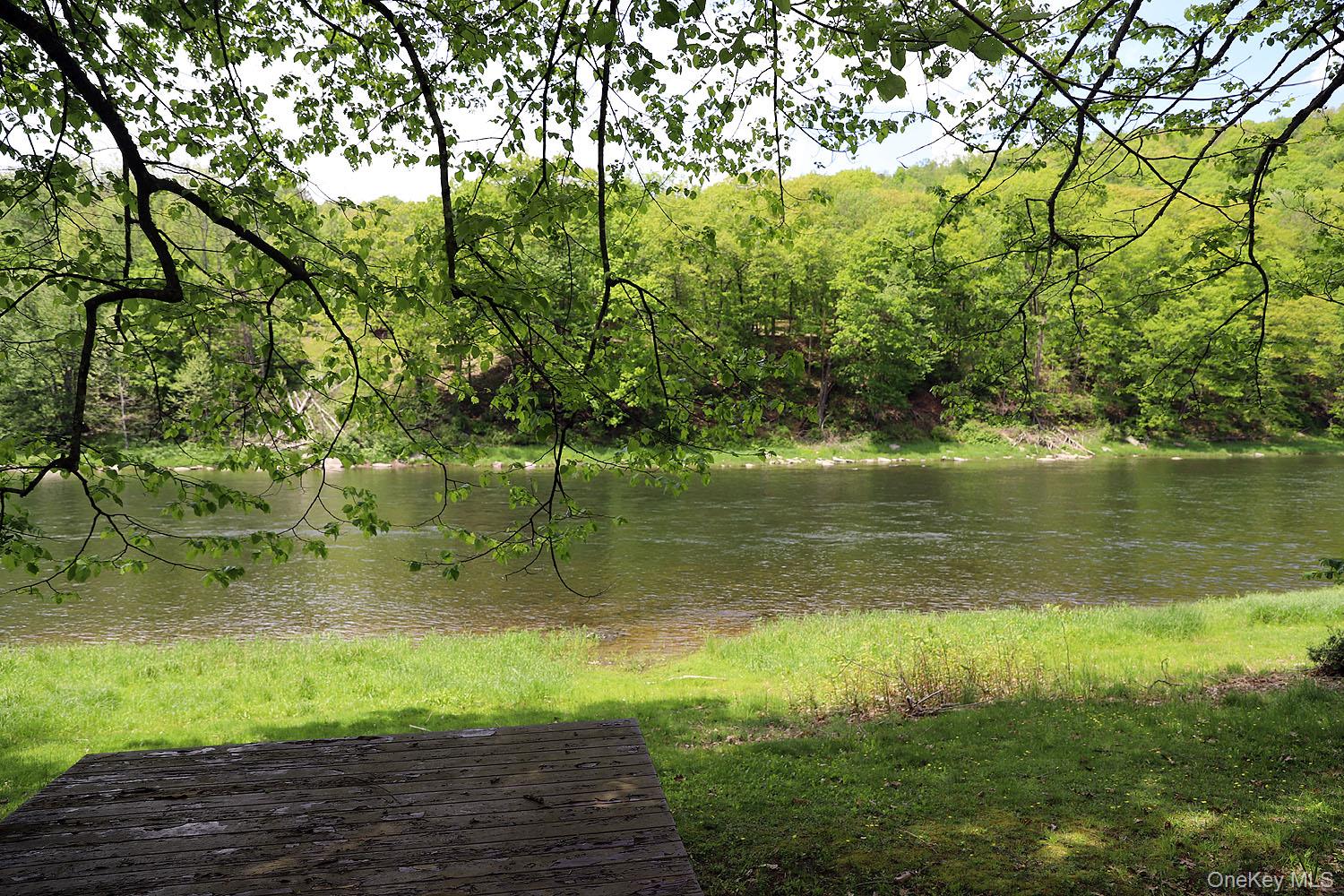 860 River Road Callicoon, NY 12723 - Photo 38 of 45 a view of a lake with a yard