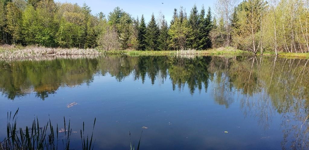 Lot 25 Gray Road Templeton, MA 01468 - Photo 6 of 7 a view of lake