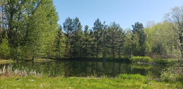 Lot 25 Gray Road Templeton, MA 01468 - Photo 7 of 7 a view of lake