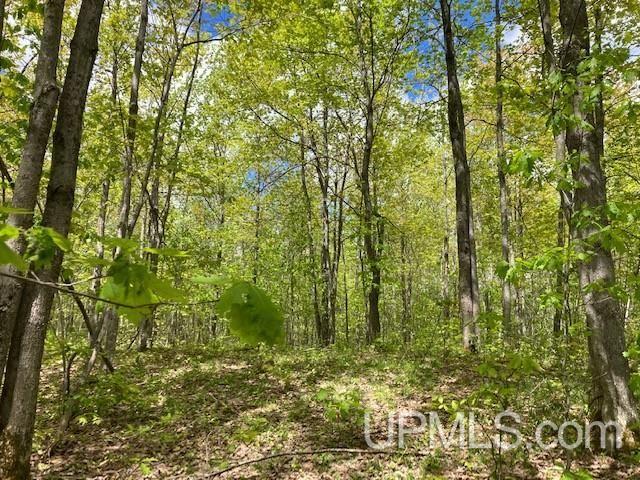 2 Boundary Road Chassell, MI 49916 - Photo 43 of 77