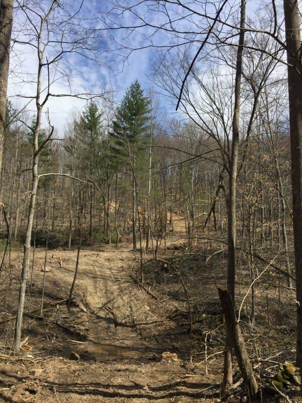 3006 Piney Grove Road Somerset, KY 42501 - Photo 6 of 52 30
