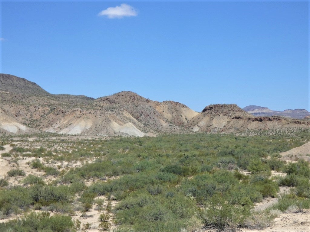 310 Gate 1 Road Alpine, TX 79830 - Photo 8 of 13 Gallery Image 8