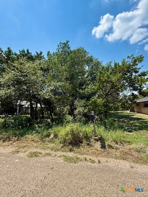 28 Cheyenne Trail Belton, TX 76513 - Photo 2 of 11 a view of a yard with a tree
