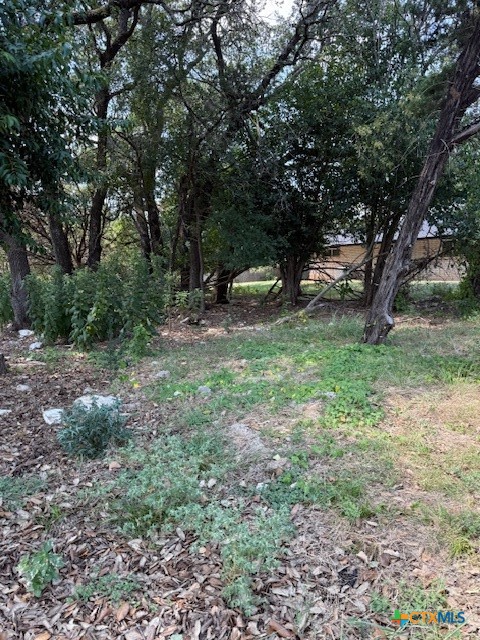28 Cheyenne Trail Belton, TX 76513 - Photo 5 of 11 a view of a tree in the middle of a yard