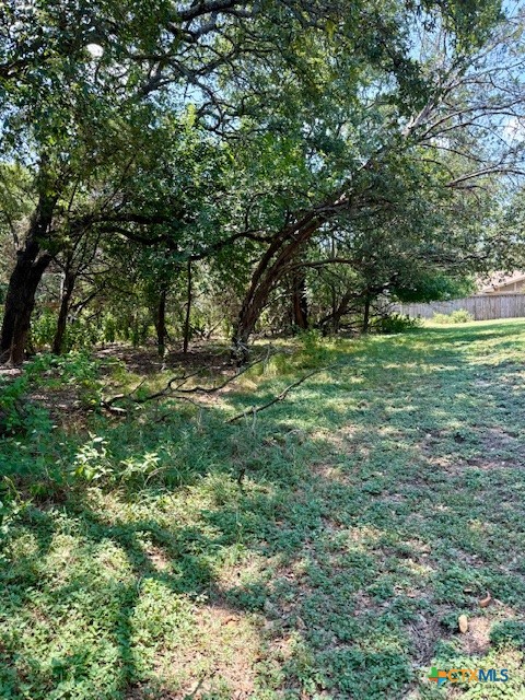 28 Cheyenne Trail Belton, TX 76513 - Photo 6 of 11 a big yard with lots of green space and deers